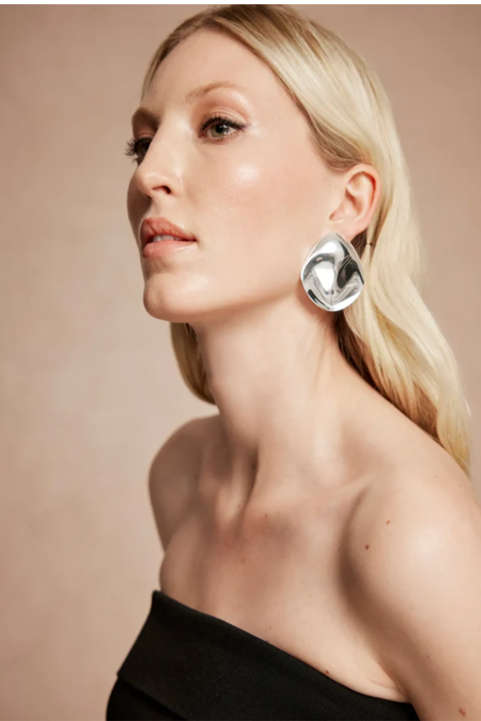 Silver Tone Disc Earrings