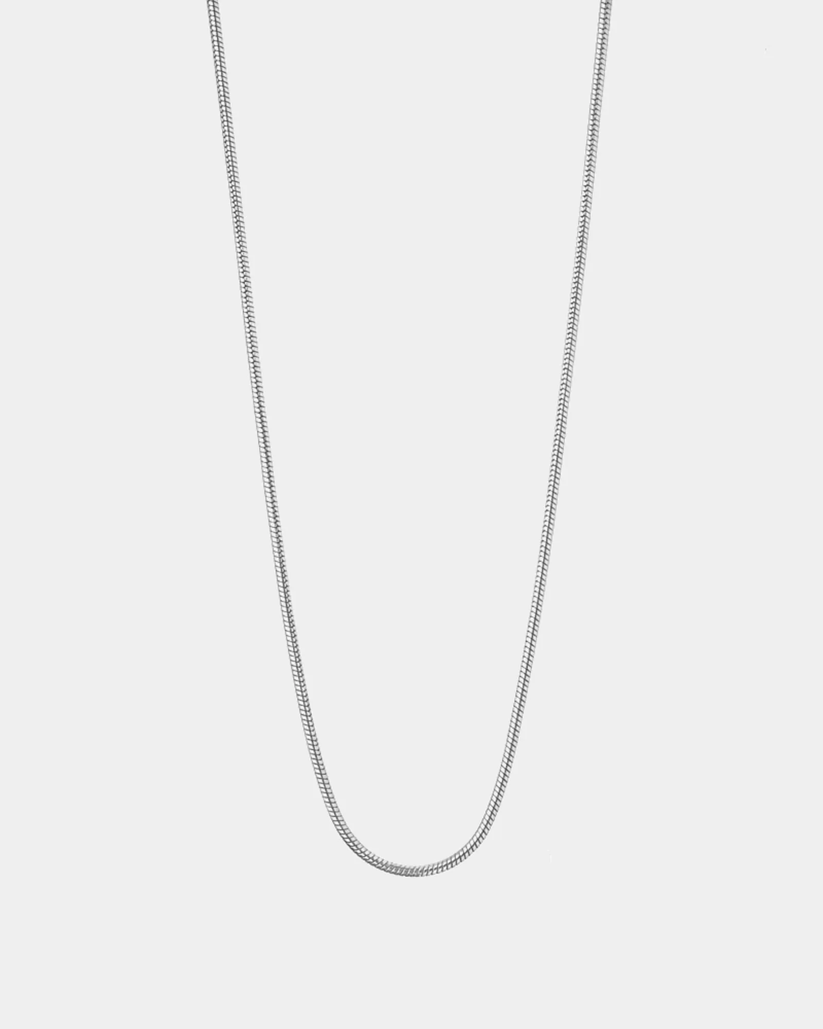 Snake Bone Chain Necklace